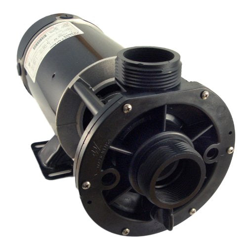 Waterway 2 Speed 2.0 HP 230V Spa Pump 3420820-15