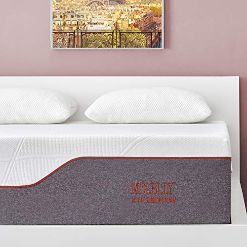 Queen Mattress, Molblly 14 inch Gel Memory Foam Mattress Bed Mattress in a Box Medium Plush