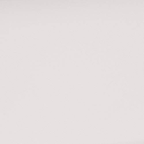 Flash Furniture HERCULES Lesley Series Contemporary White LeatherSoft Loveseat with Encasing Frame