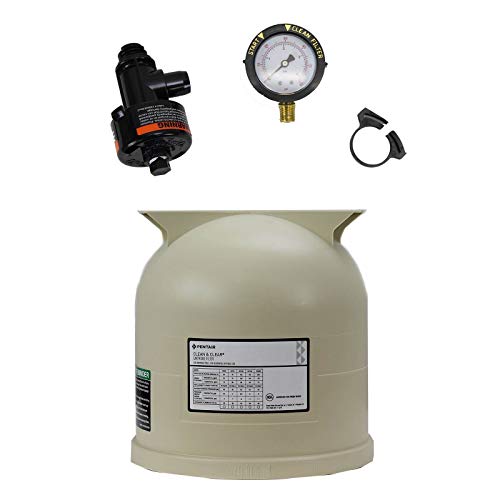 Pentair 98209800 Replacement Relief Valve Filter w/ 178561 Filter Lid Assembly