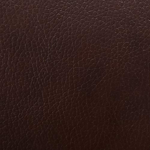 Power Lift Chair Recliner Chairs -Reclining Sofa Chair Lift PU Leather Living Room with Heavy Duty Mechanism & Remote