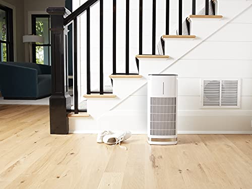 Cuisinart CAP-1000 PuRXium H13 Large Room/Free Standing Air Purifier