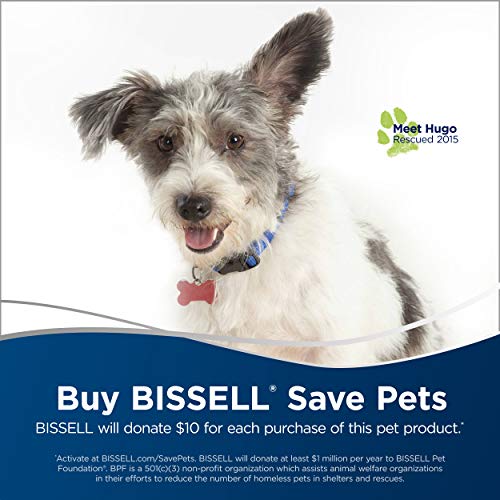 BISSELL JetScrub Pet Upright Carpet Cleaner, 25299