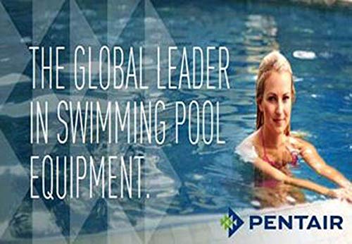 Pentair Telescopic Pole Swimming Pool Spa Hand Leaf Skimmer Mesh Net (12 Pack)