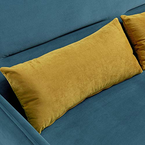 Knowlife Soft Velvet Sleeper Sofa Bed,Compact Pull-Out 2 Seaters Sleeper, 57
