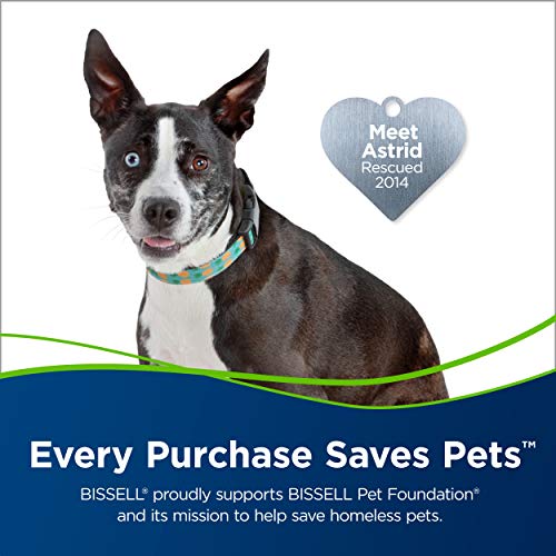 Bissell Pet Hair Eraser Turbo Rewind Upright Vacuum Cleaner, 27909, Blue