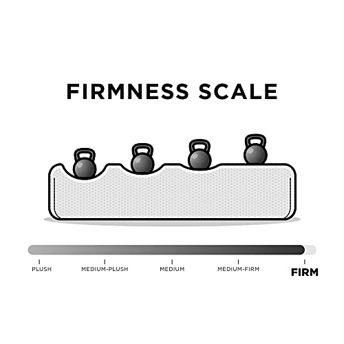 DHP Paxson Convertible Futon Couch Bed with Linen Upholstery and Wood Legs - Navy Blue