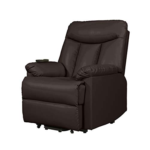 Domesis Renu Leather Power Lift Chair Recliner, Brown
