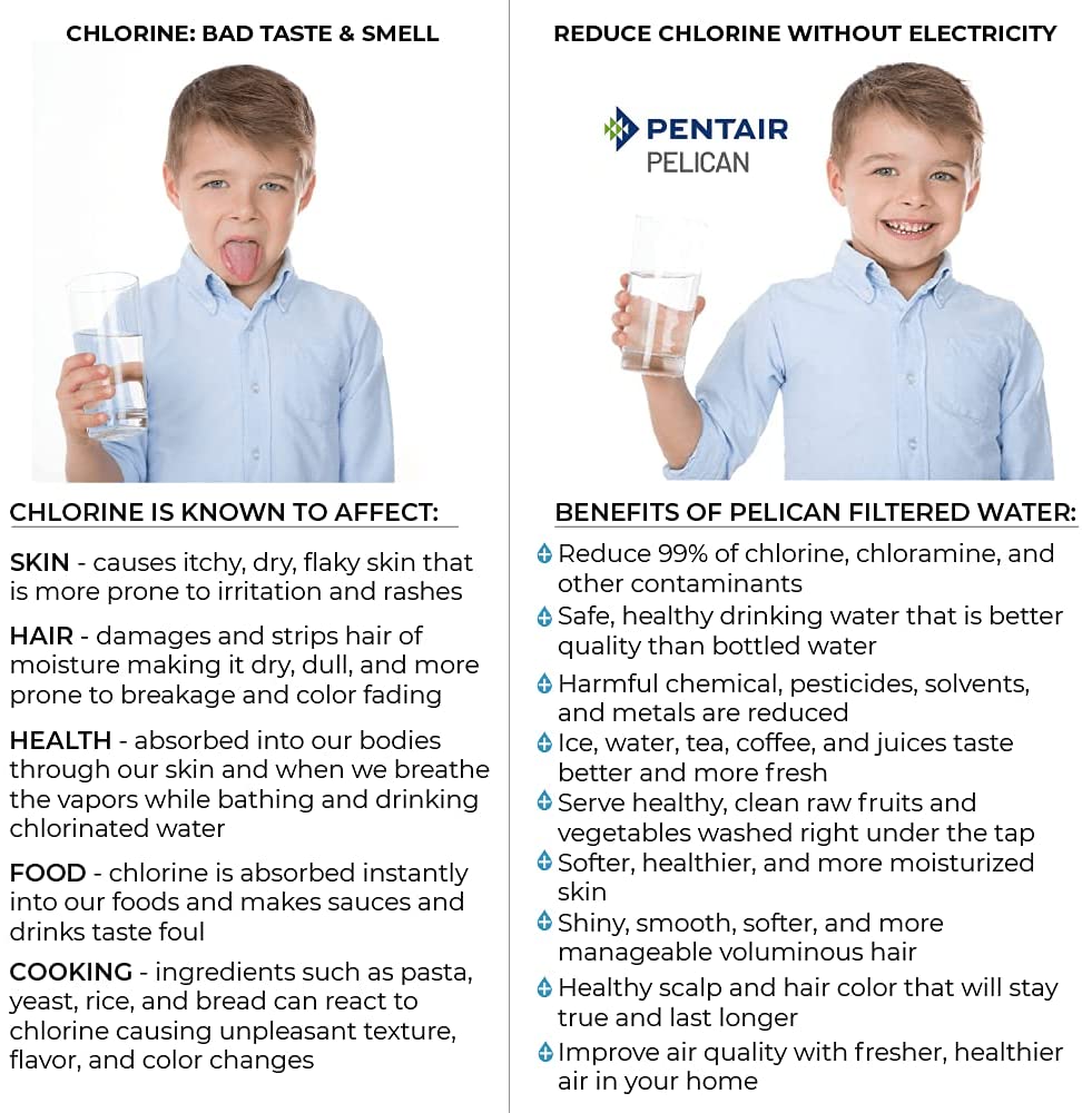 Pentair Pelican PSE1800-PUV-7-P Whole House Water Filtration and NaturSoft Water Softener Alternative with UV New