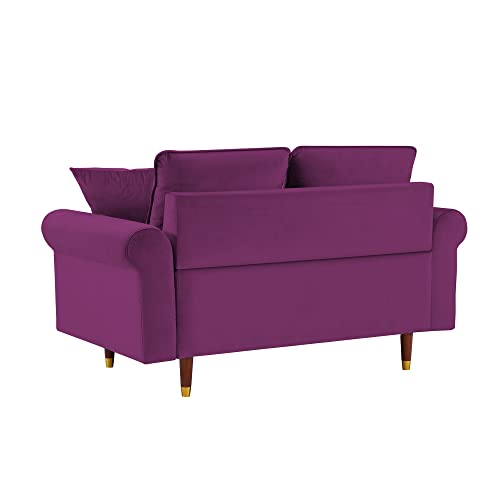 Living Room Furniture, Yoglad Velvet Loveseat, Modern 2 Seater Sofa with Wooden Legs, 2 Throw Pillows Included (Loveseat, Purple)