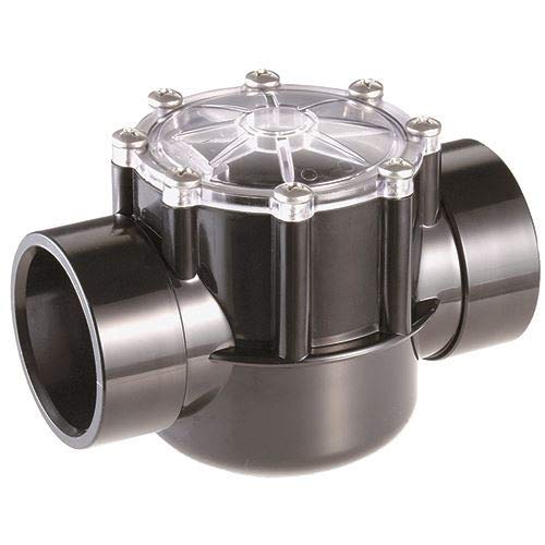Pentair 263060 2.5-3in Check Valve Cpvc