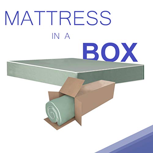 Wayton 7-Inch Medium Firm Double Sided Tight top Foam Rolled Vinyl Mattress