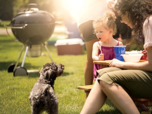 Weber Original Kettle Premium 26 Inch Charcoal Grill, Black