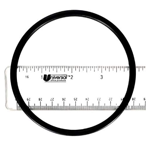 Pentair R172009Z Feeder O-Ring, White