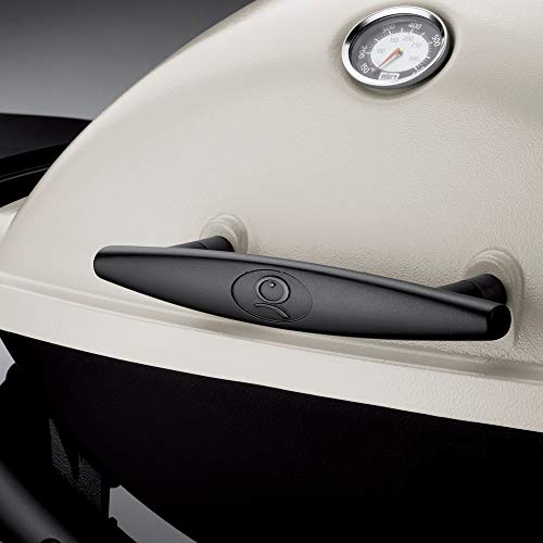 Weber 54060001 Q2200 Liquid Propane Grill , Gray