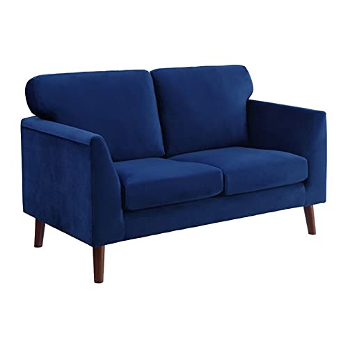 Lexicon Tolley Velvet Loveseat in Blue