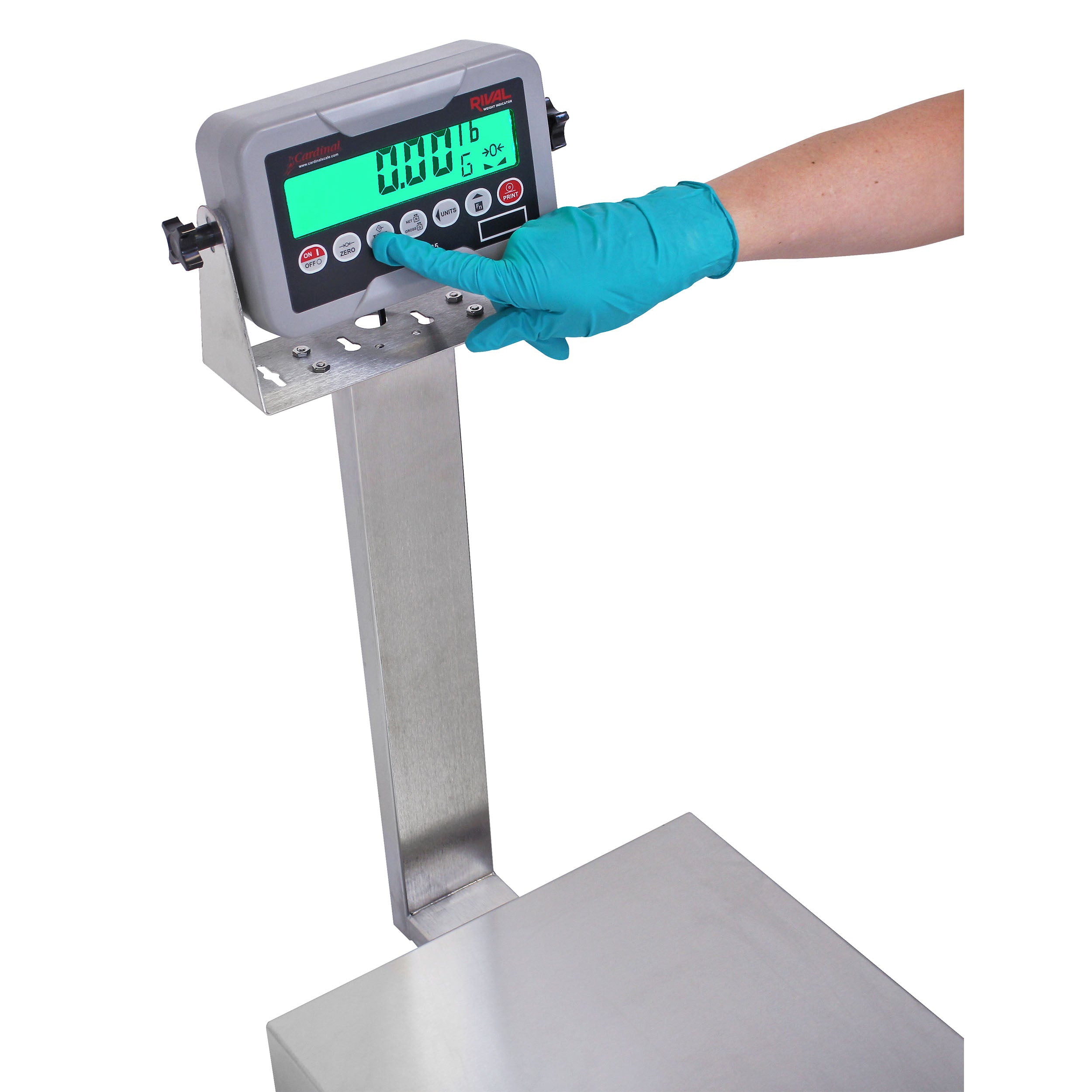 Cardinal EB-185 Series Bench Scale