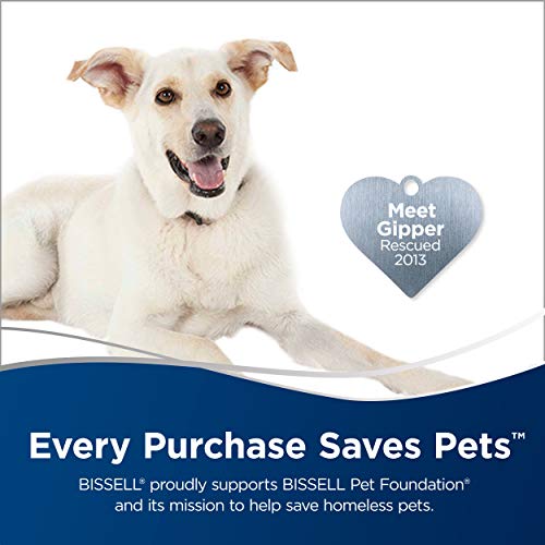 BISSELL Pet Hair Eraser Turbo Plus Lightweight Upright Vacuum Cleaner, 24613