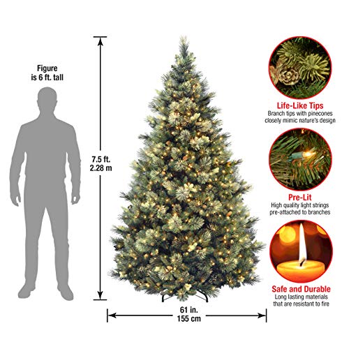 National Tree Carolina Pine Tree with Clear Lights , 7.5 Feet