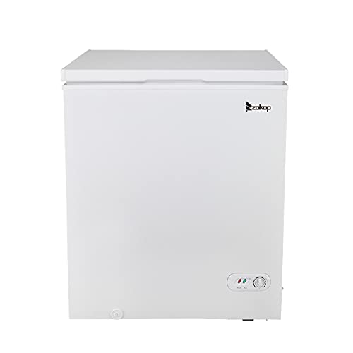 Bysesion GT1-JL BD-150 AC115V/60Hz 143L/ 5.0 CU.FT Single Door Horizontal Freezer White