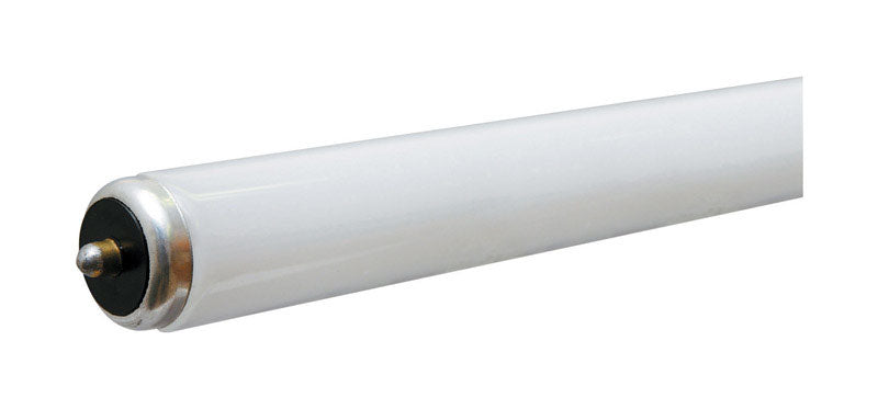 GE Lighting 60 watts T12 96 in. L Fluorescent Bulb Cool White Linear 6500 K 1 pk (Pack of 15)
