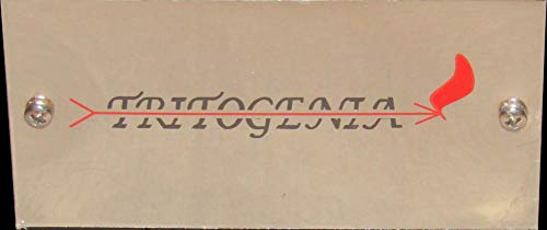 Tritogenia Inline Charcoal Grill with One Multispeed 0-55RPM One 6RPM and Adjustable Height Regulator