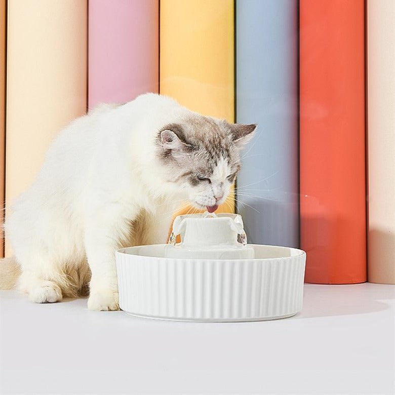 Colorful Cake Cat Water Fountain