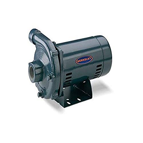 Pentair S39498 CP1-1/4PS Centrifugal Pump, 2 HP, 115/230-Volt