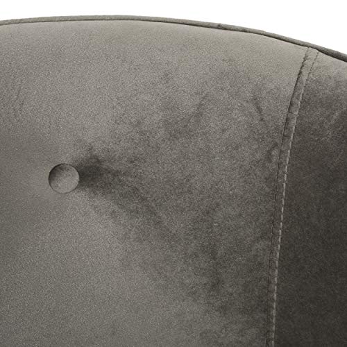 Christopher Knight Home Brayer LOVESEAT, Gray + Gold