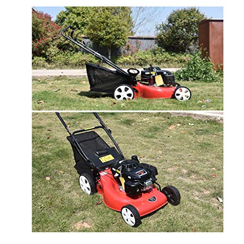 wangzi Self-propelled Lawnmower Self-propelled Hand-Push Lawn Mower Lawn Mower Household Cutting Height 20-50cm Cutting Width500mm