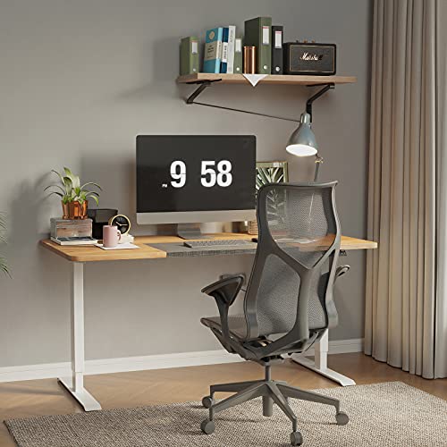Electric Height Adjustable Standing Desk, 55 x 28 inches Stand up Desk, Sit Stand Home Office Table (Oak Top/White Frame)