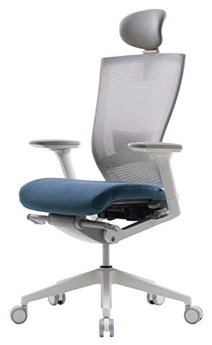 SIDIZ T50 Home Office Desk Chair : Ergonomic Office Chair, Adjustable Headrest, 2-Way Lumbar Support, 3-Way Armrests, Forward Tilt Adjustment, Adjustable Seat Depth, Ventilated Mesh Back