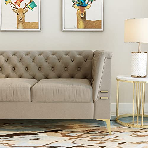 LEQEE Modern Velvet Sofa, Velvet Upholstered Sofa Couch with Stainless Steel Base