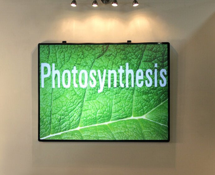 Screen Series Wall Mounted Interactive Whiteboard, 3' x 4'