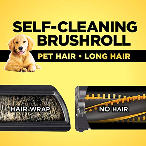 Shark APEX AZ1002 DuoClean with Self-Cleaning Brushroll Lift-Away Upright Vacuum, Crevice and Upholstery Tools, Pet Power Brush.88 Dry Quarts, Black