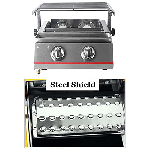 KXDN Stainless Propane Gas Grill, 2 Burner Gas BBQ Grill, Portable BBQ Grill Use for Picnic Camping Trip Tailgating Patio Garden BBQ Home Use,Silver,Steel Shield