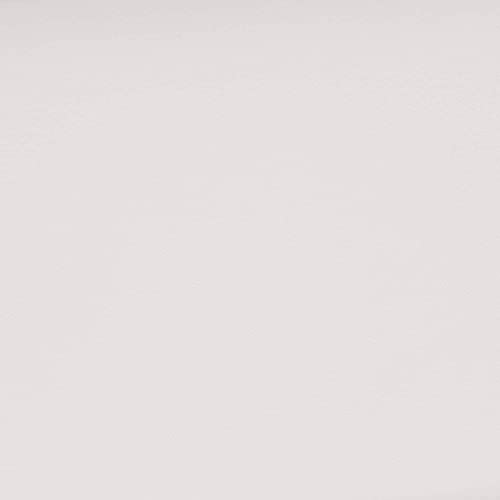 Flash Furniture HERCULES Alon Series White LeatherSoft Loveseat with Brushed Stainless Steel Base