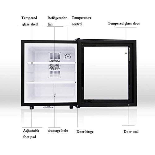 FSGHJJKN 30L 55W Chest Freezer Compact Dorm Upright Apartment Home Food Storage Compact Space Saving Energy Efficient