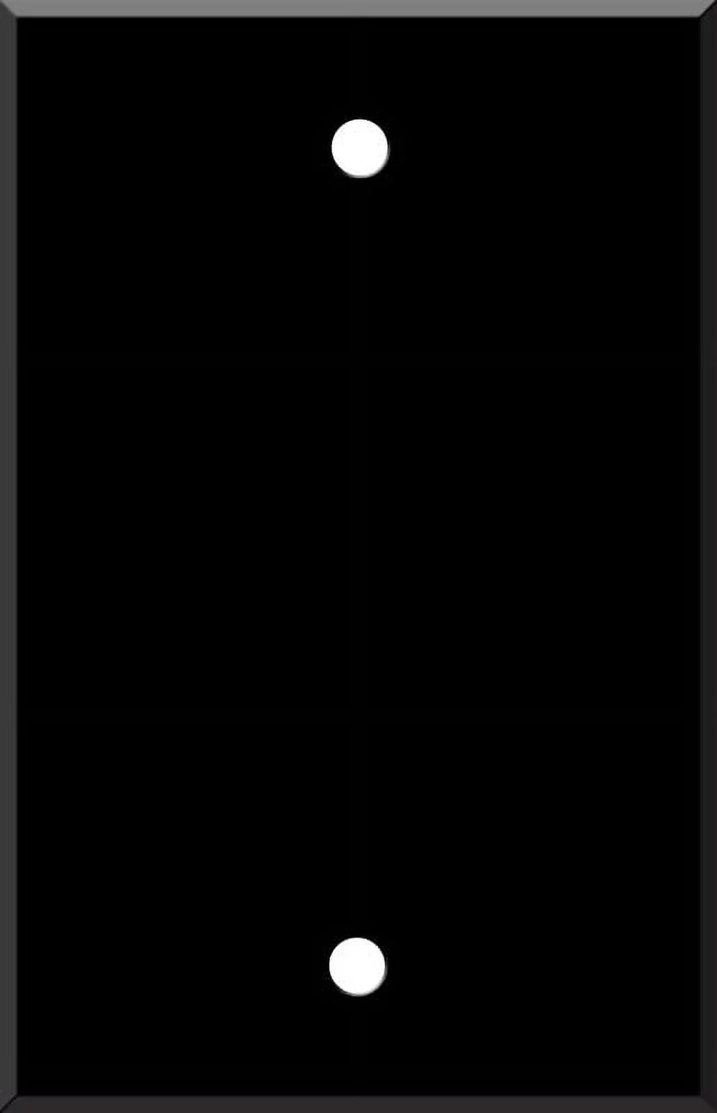 Switch Hits Black Enamel - Blank Wall Plates