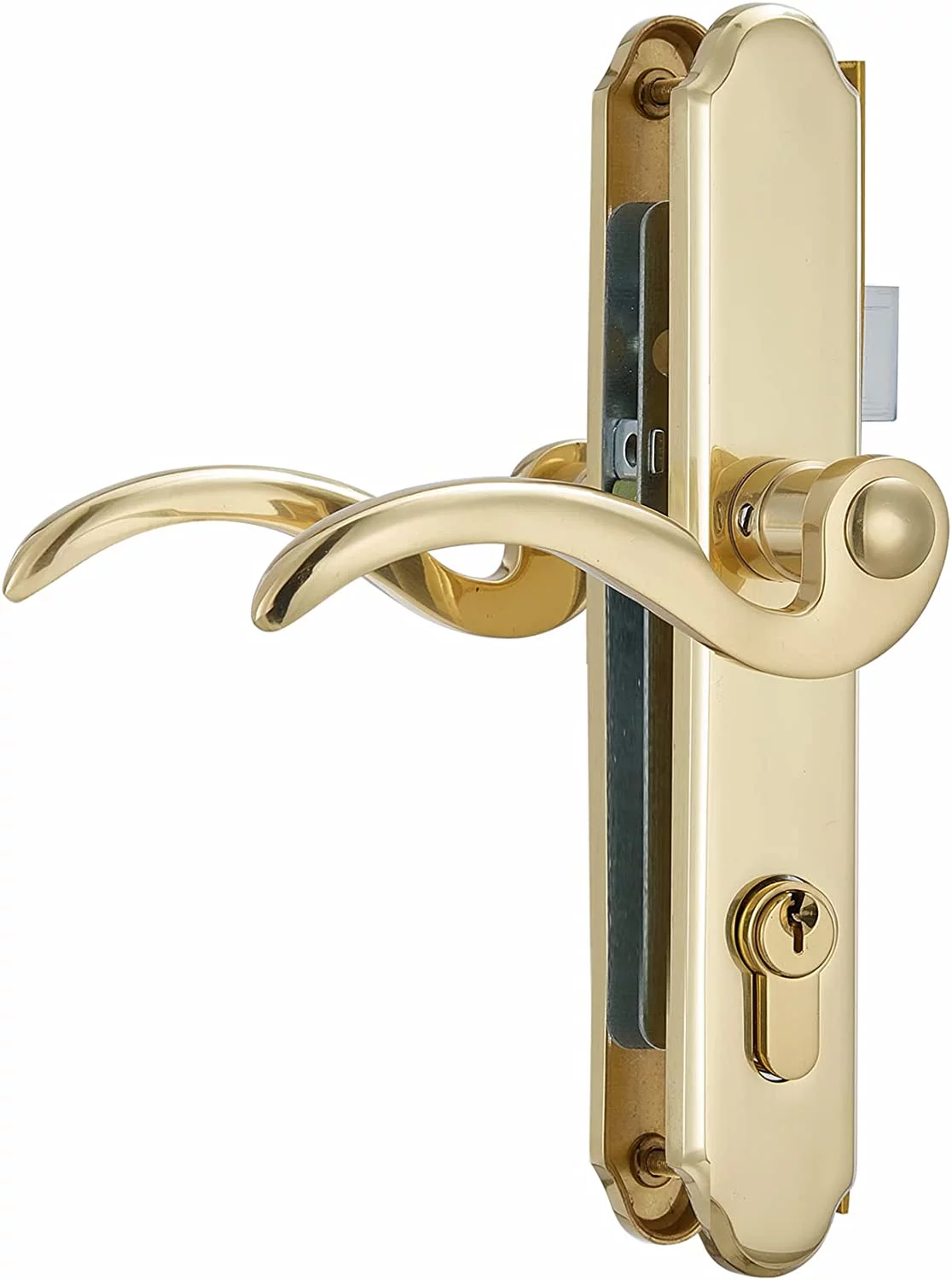 Solid Brass Lever Handle Mortise Lock Set for Screen/Storm Door Replacement, for Left-hinged Outswing Door(View from Outside) of 1 in. Or 1.38 in. Thickness, Brushed Polished Brass