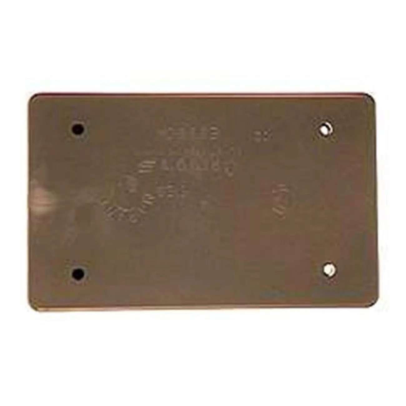 Carlon  Lamson Single Gang Blank Box Cover